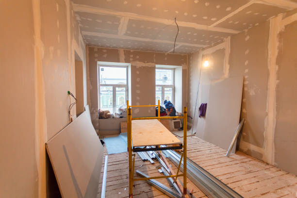 Best Ceiling Drywall Installation  in Buhl, MN